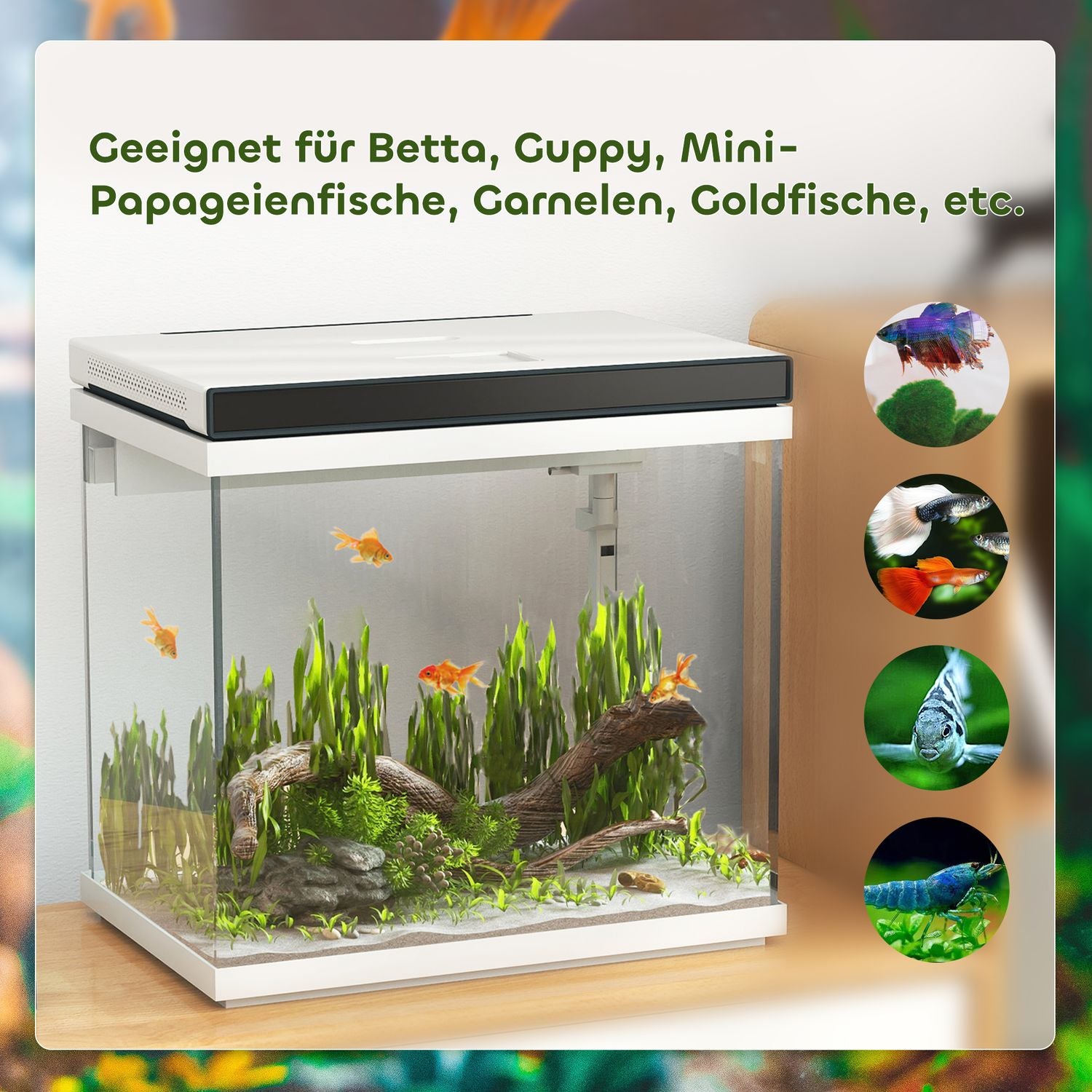 Akvárium 26L s LED osvětlením, filtrem a vodní pumpou