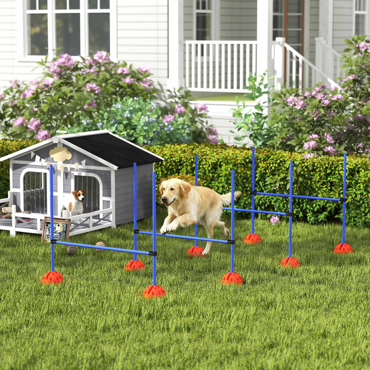 Agility sada pro psy, 4 nastavitelné překážky s přepravní taškou