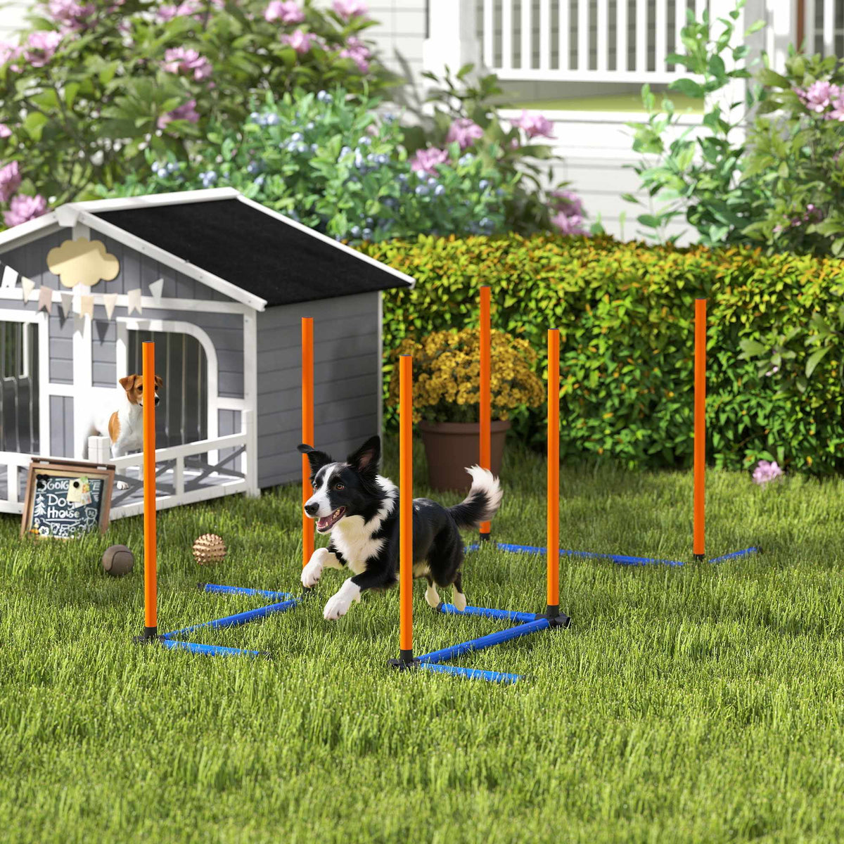 Agility sada pro psy, přenosná, s nastavitelnými slalomovými tyčemi