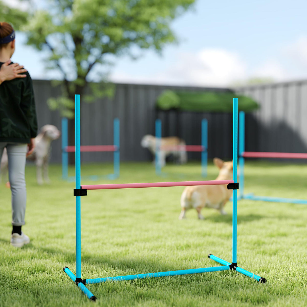 Agility sada pro psy, nastavitelné překážky s přepravní taškou