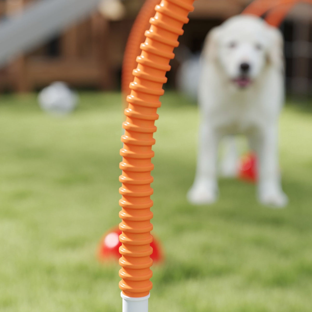 Sada agility pro psy – 5dílná nastavitelná tréninková sada