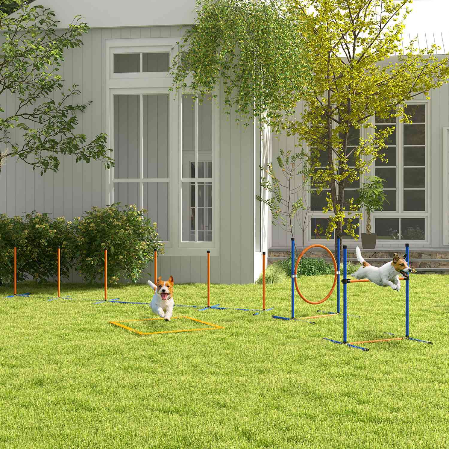 Dog Agility Set – Justerbar häck & hoppring, 4-delad