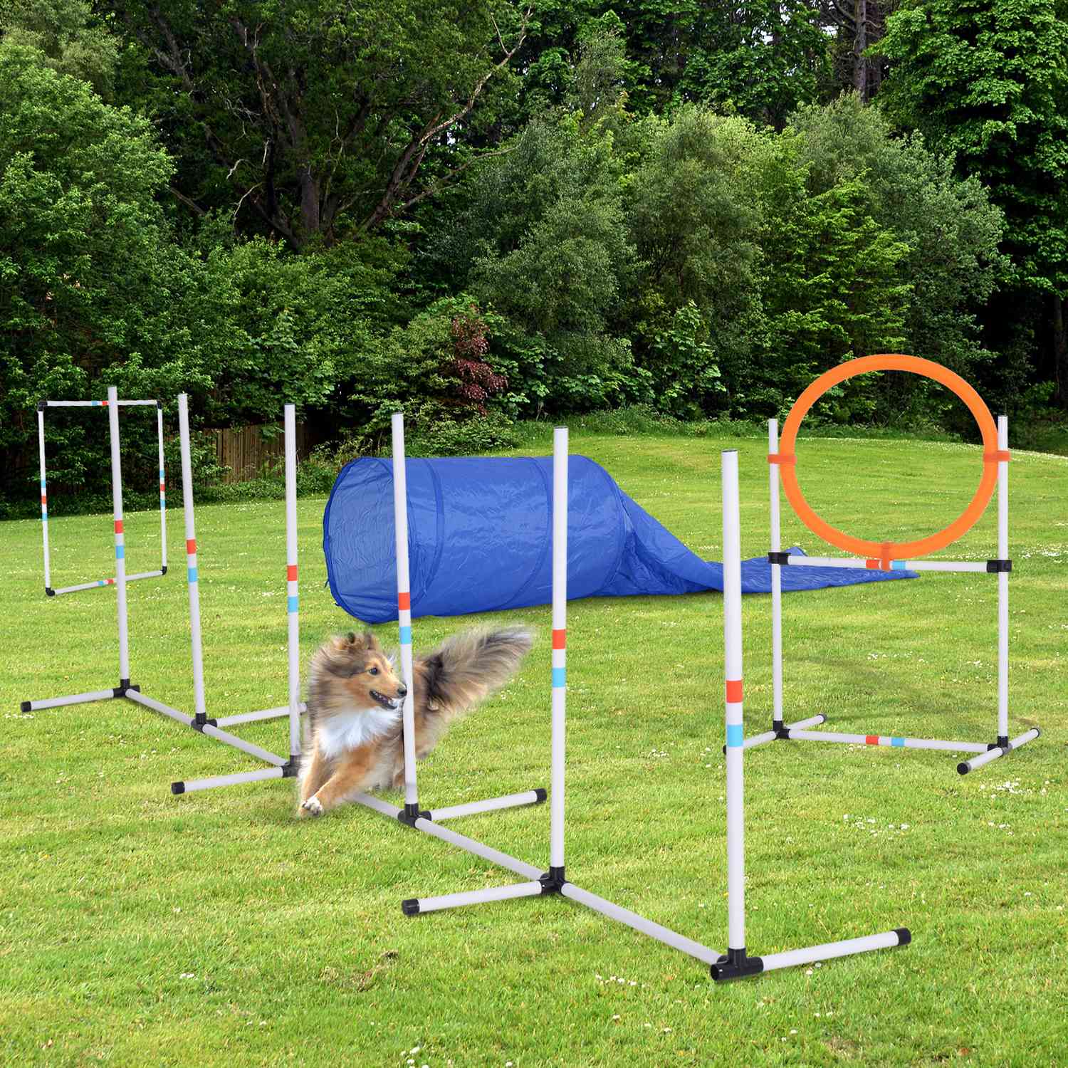 Dog Agility Set med tunnel, bärbart träningspaket