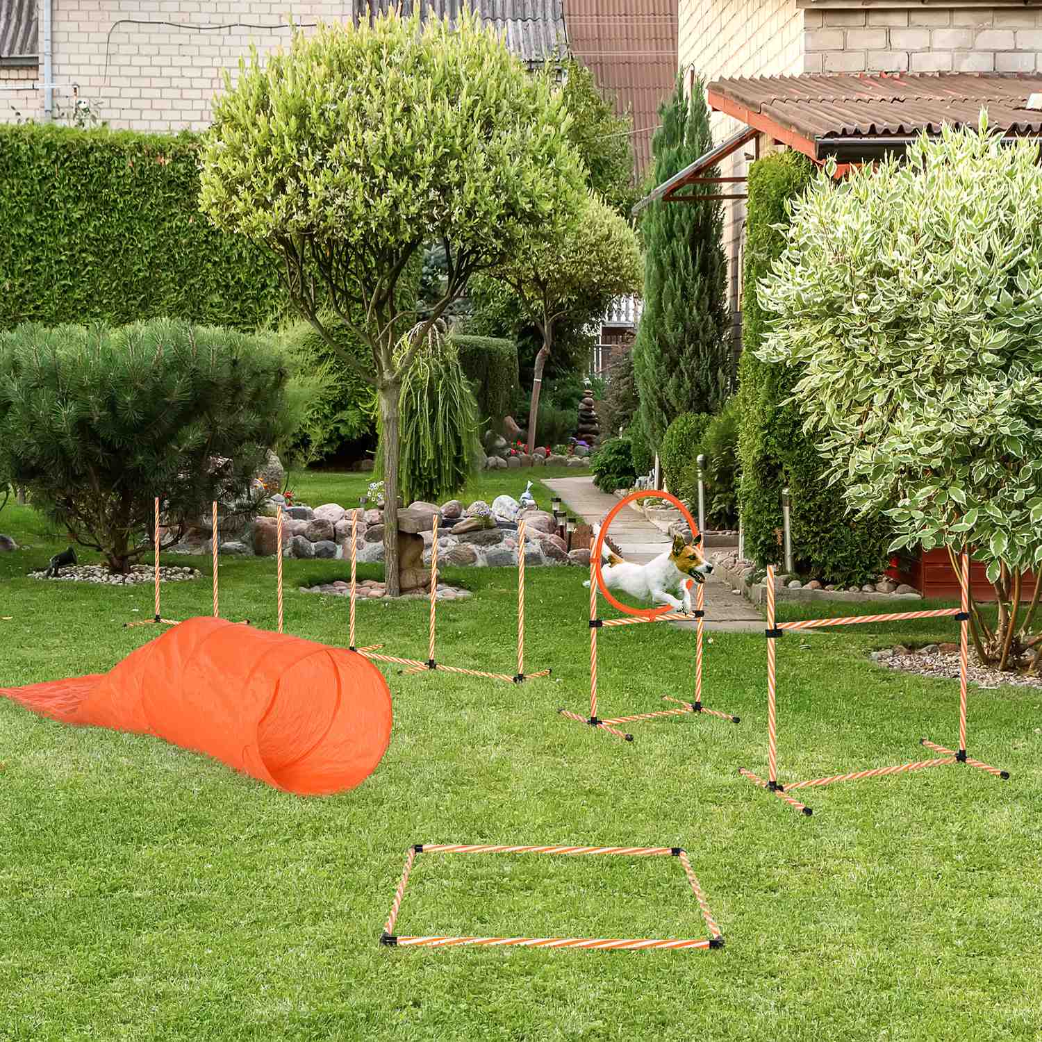 Dog Agility Training Set med Tunnel, Portable Orange/Vit