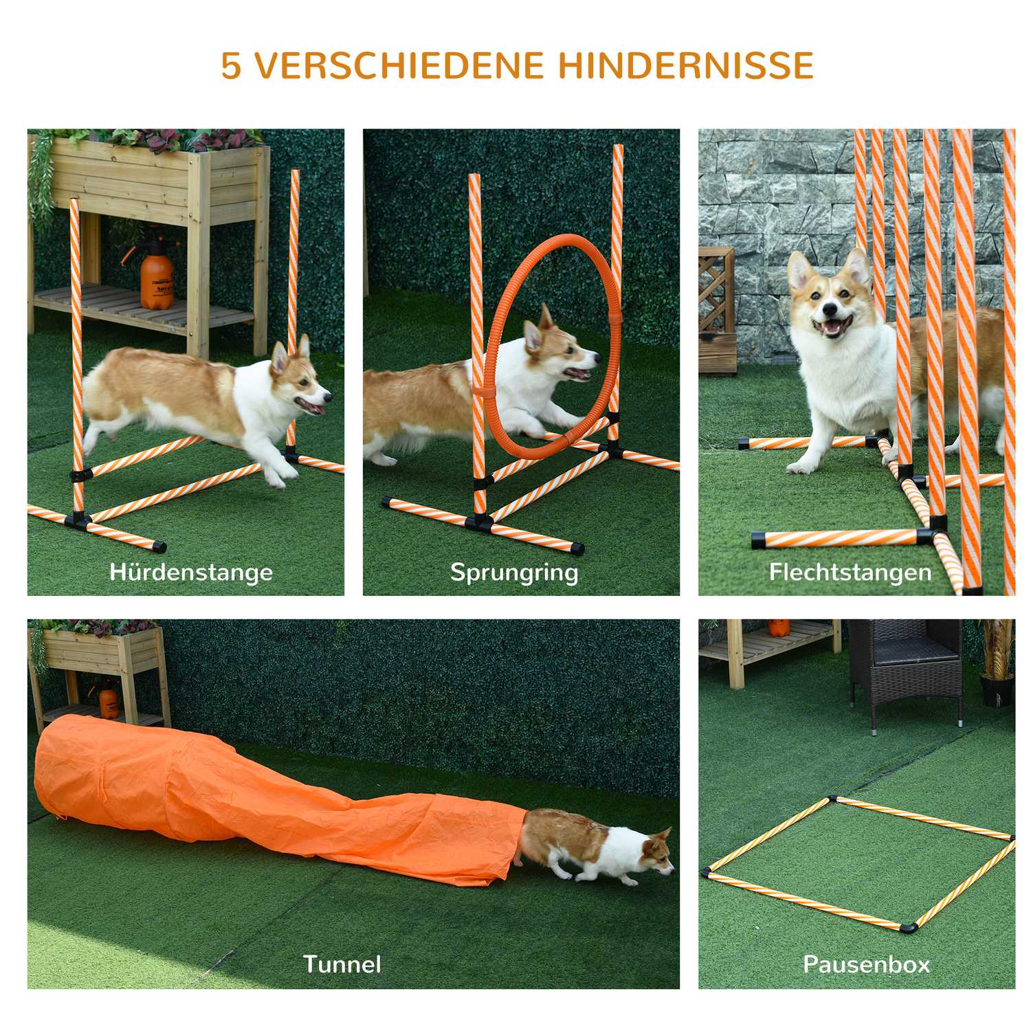 Dog Agility Training Set med Tunnel, Portable Orange/Vit
