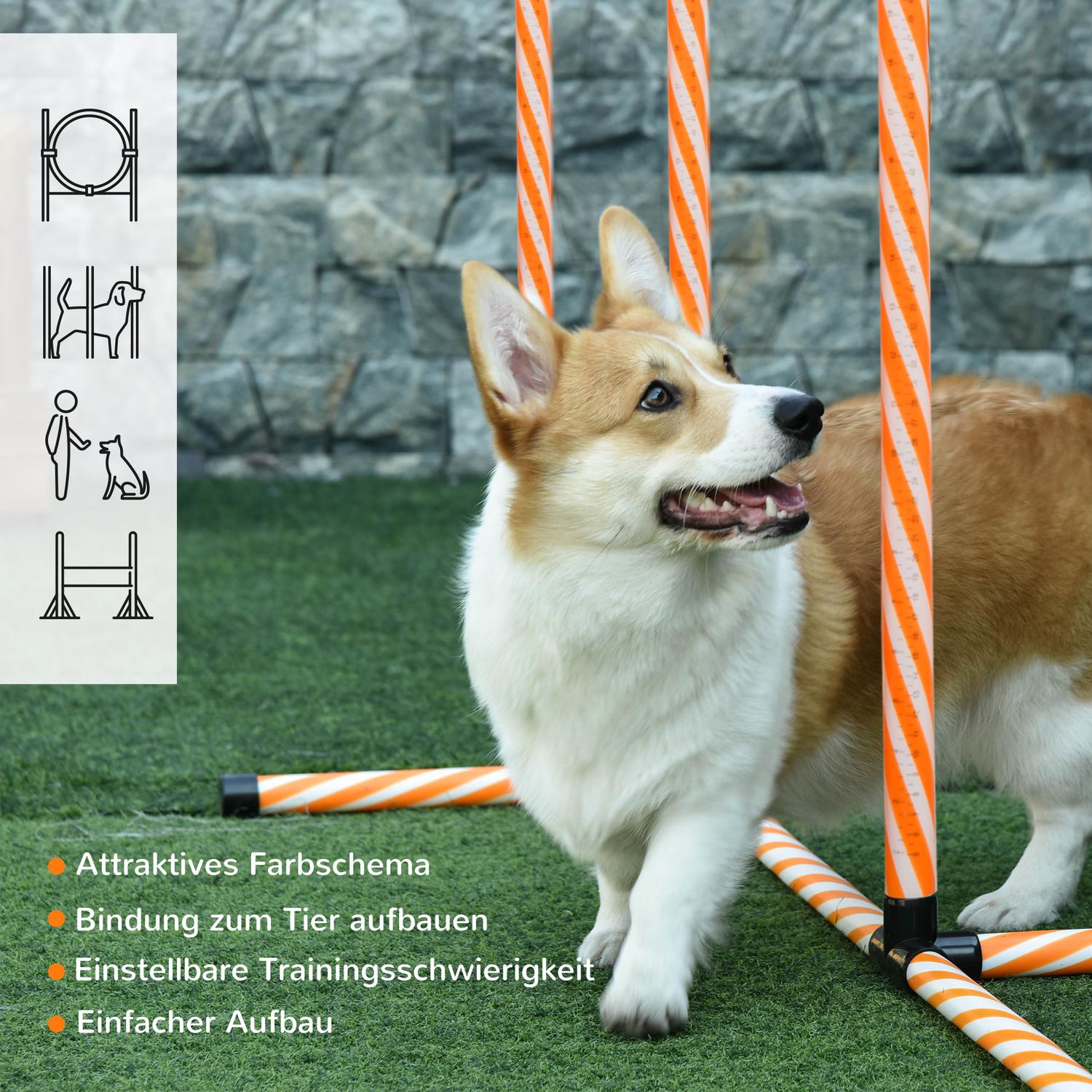 Dog Agility Training Set med Tunnel, Portable Orange/Vit