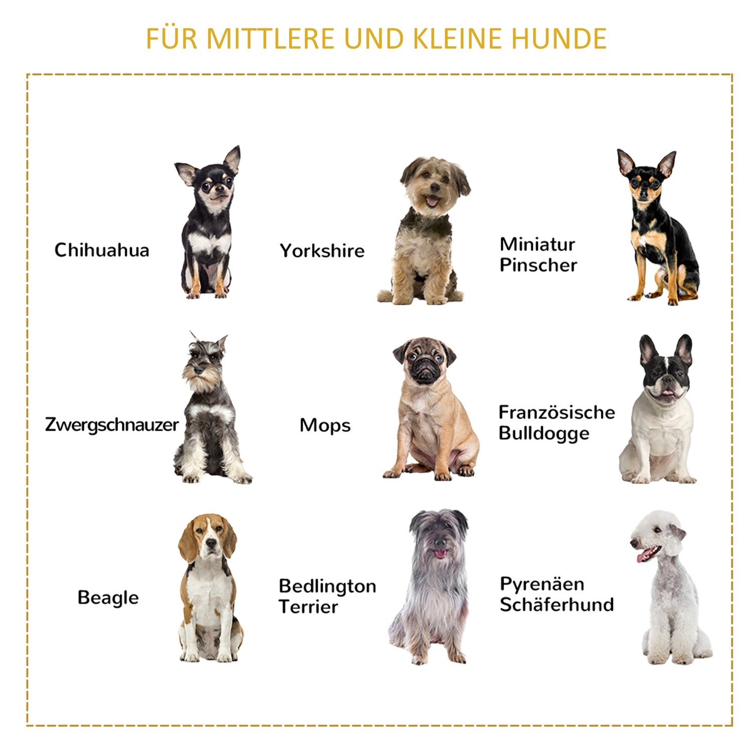 Hopfällbar grå hundkennel med fönster, 84,5x51,4x61cm