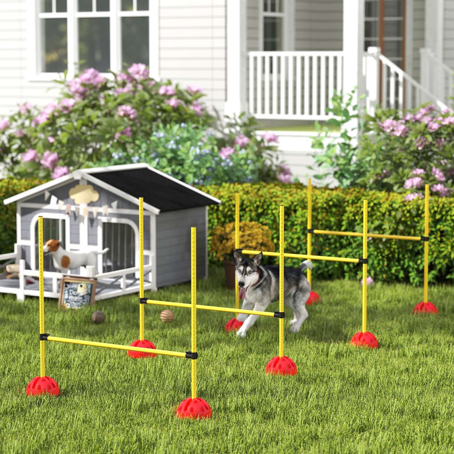 Hund Agility Utrustningsset, 5-delat med justerbara hinder