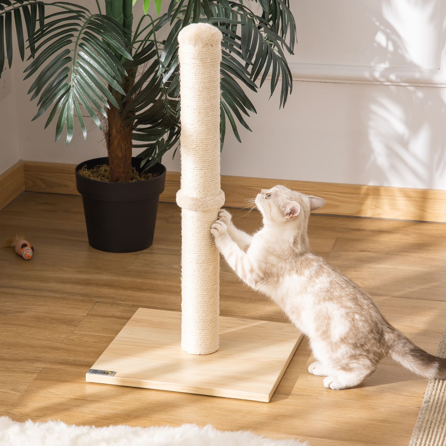 Kattskrapstolpe, Sisal med boll, Stall 60cm Beige