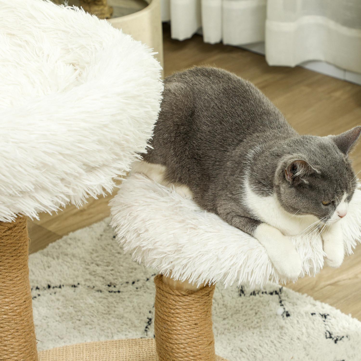 Kattskrapstolpe med lekboll, sängar, för katter <5 kg