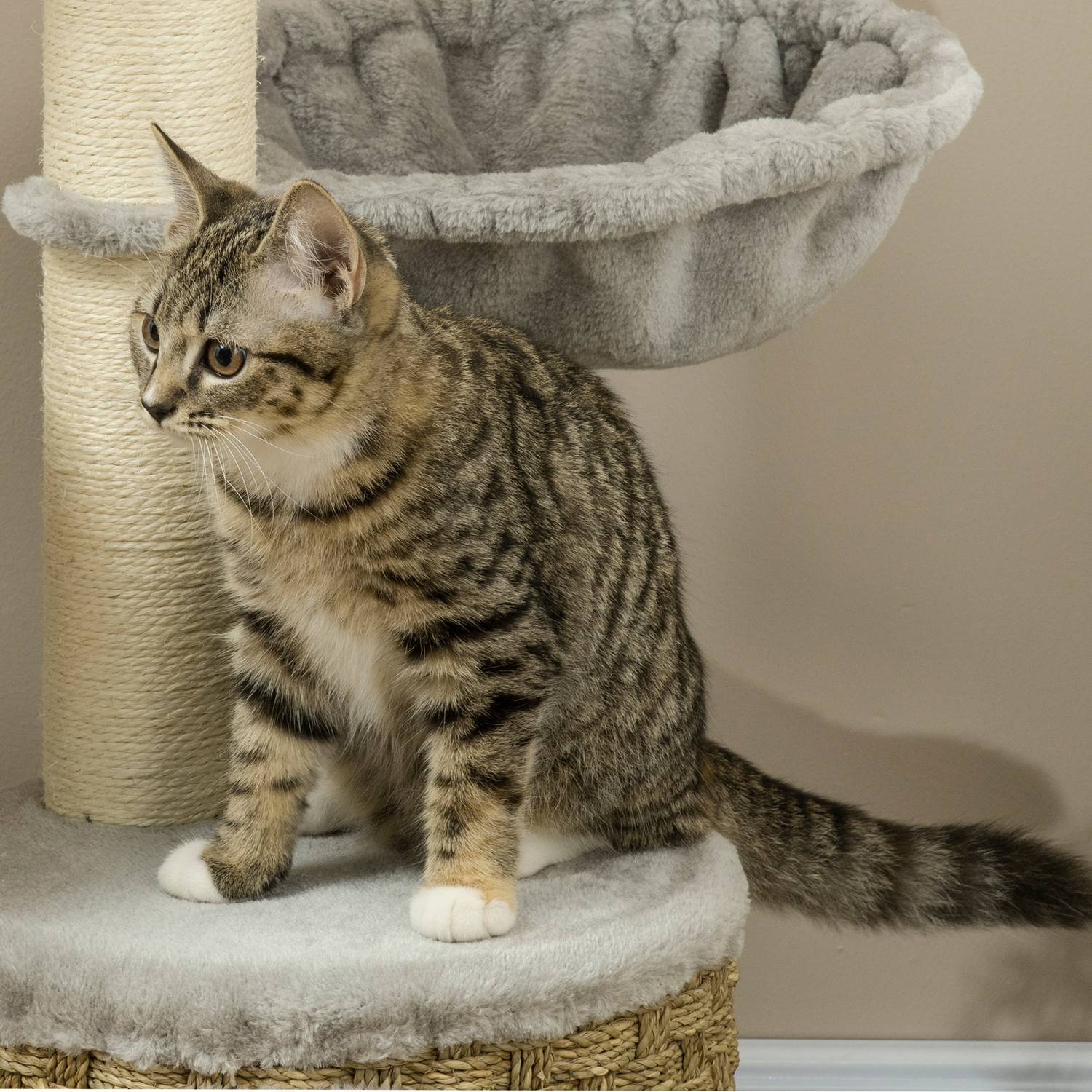 Kattträd med grotta & hängmatta, 115,5 cm jutestolpar, ljusgrå