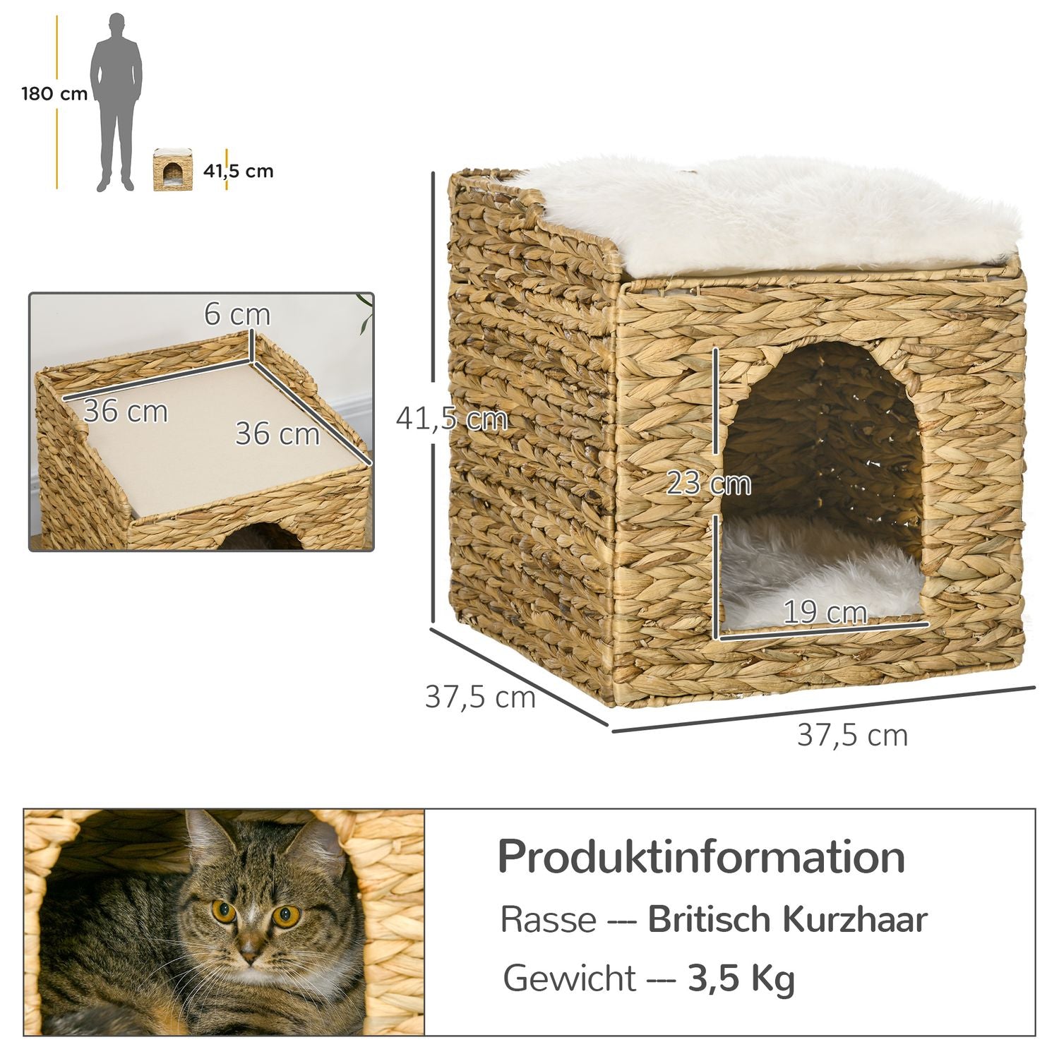 Rottingkattgrotta med kudde, 2 nivåer för katter upp till 5 kg