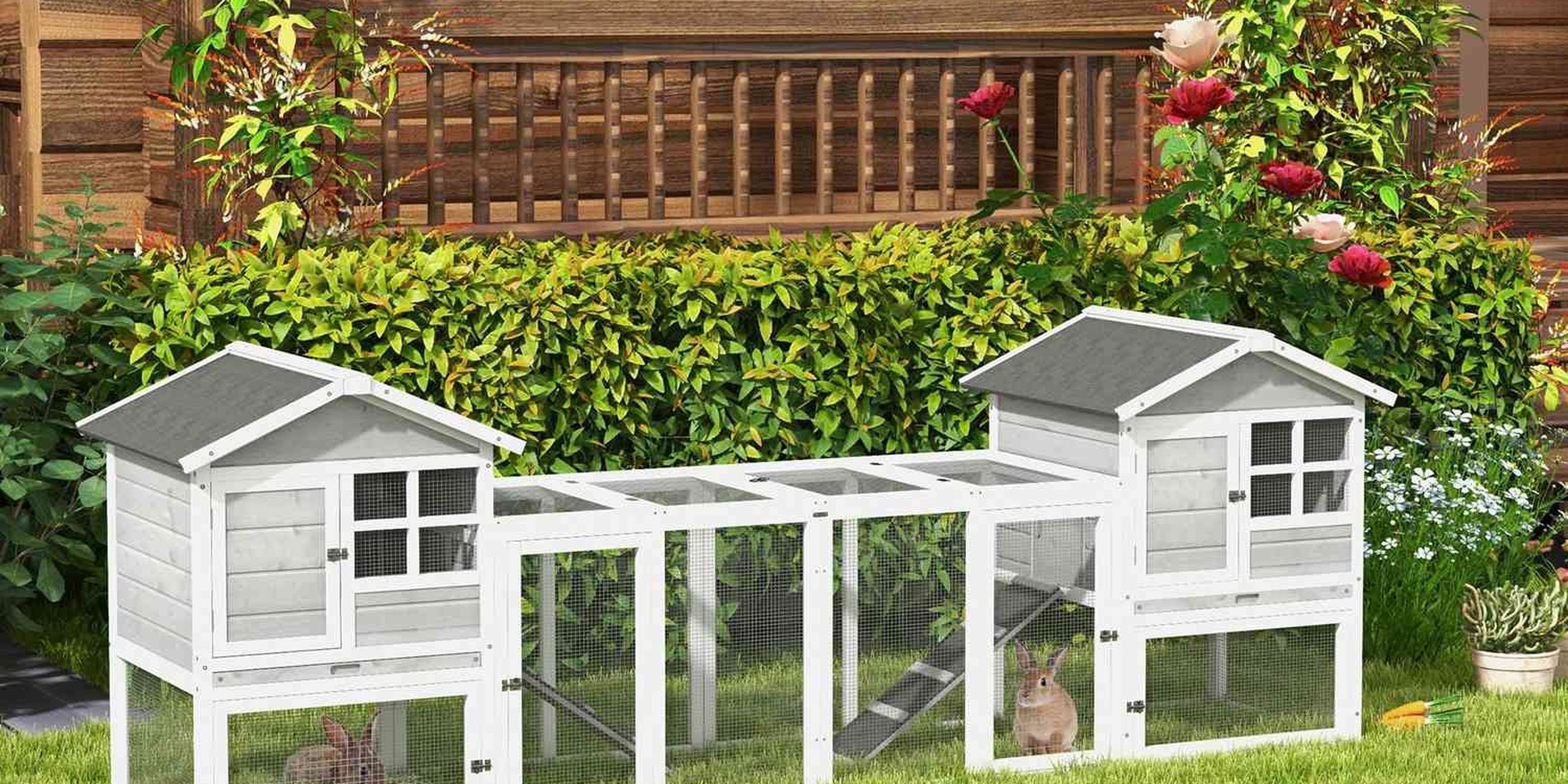 smadjur faglar terrarier – Homeheart
