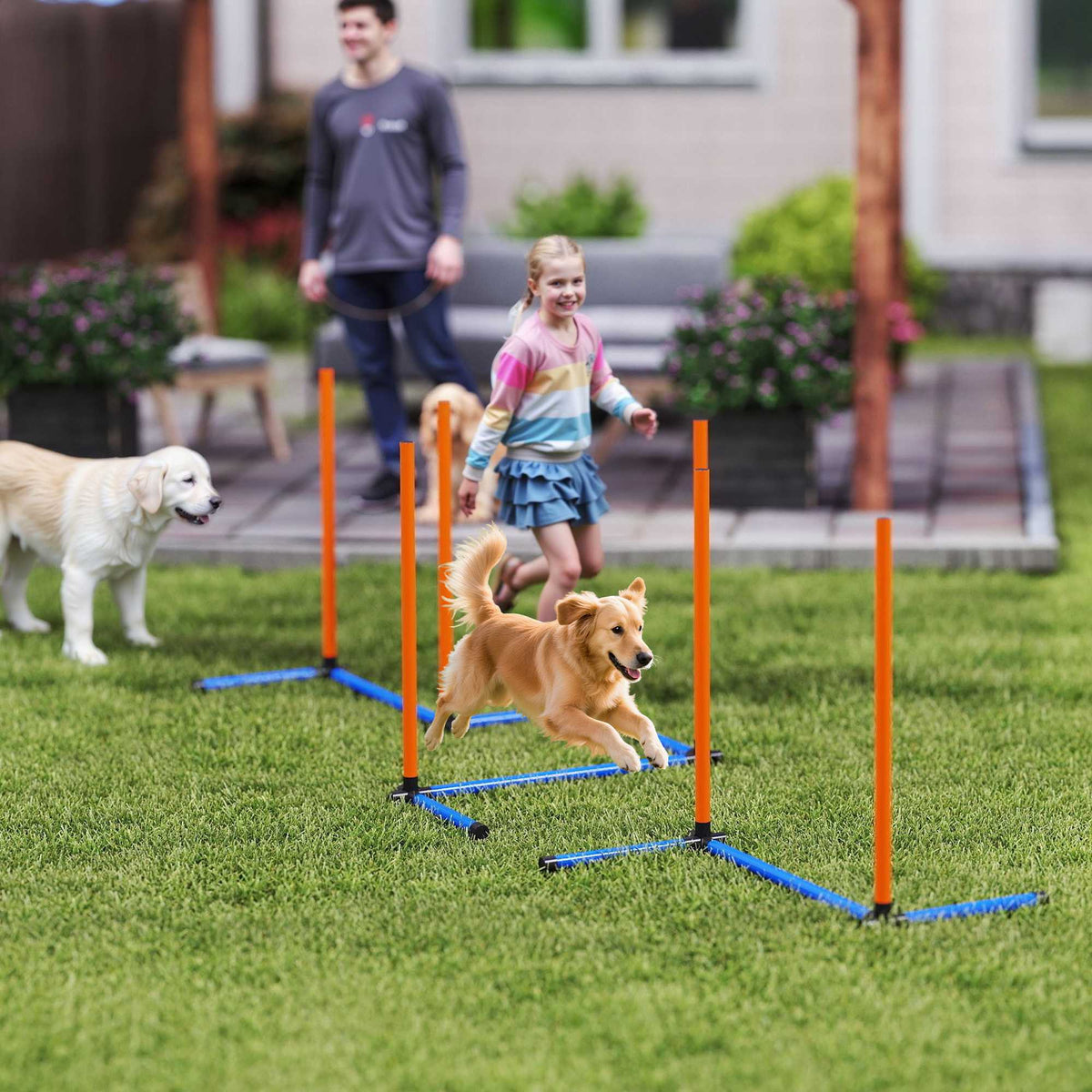 Agility sada pro psy, přenosná, s nastavitelnými slalomovými tyčemi