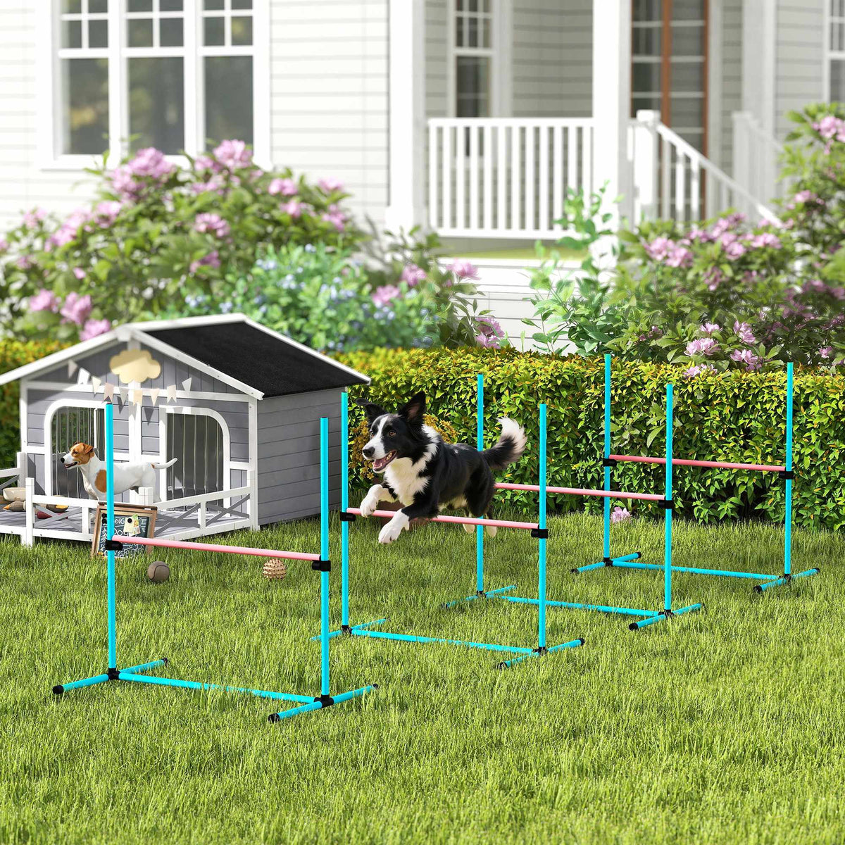 Agility sada pro psy, nastavitelné překážky s přepravní taškou