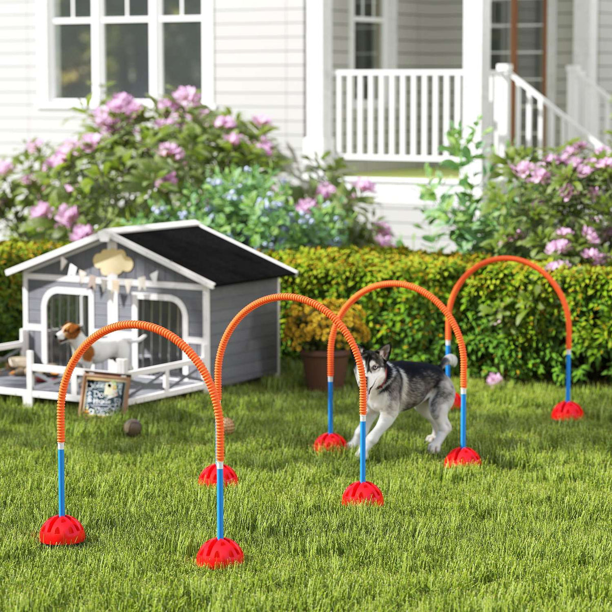 Sada agility pro psy – 5dílná nastavitelná tréninková sada