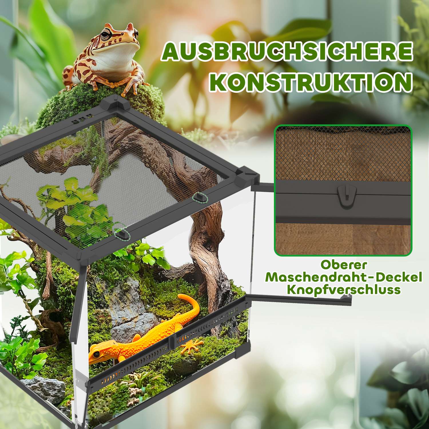 Glasterrarium för reptiler, vattentät bas, säkert lås