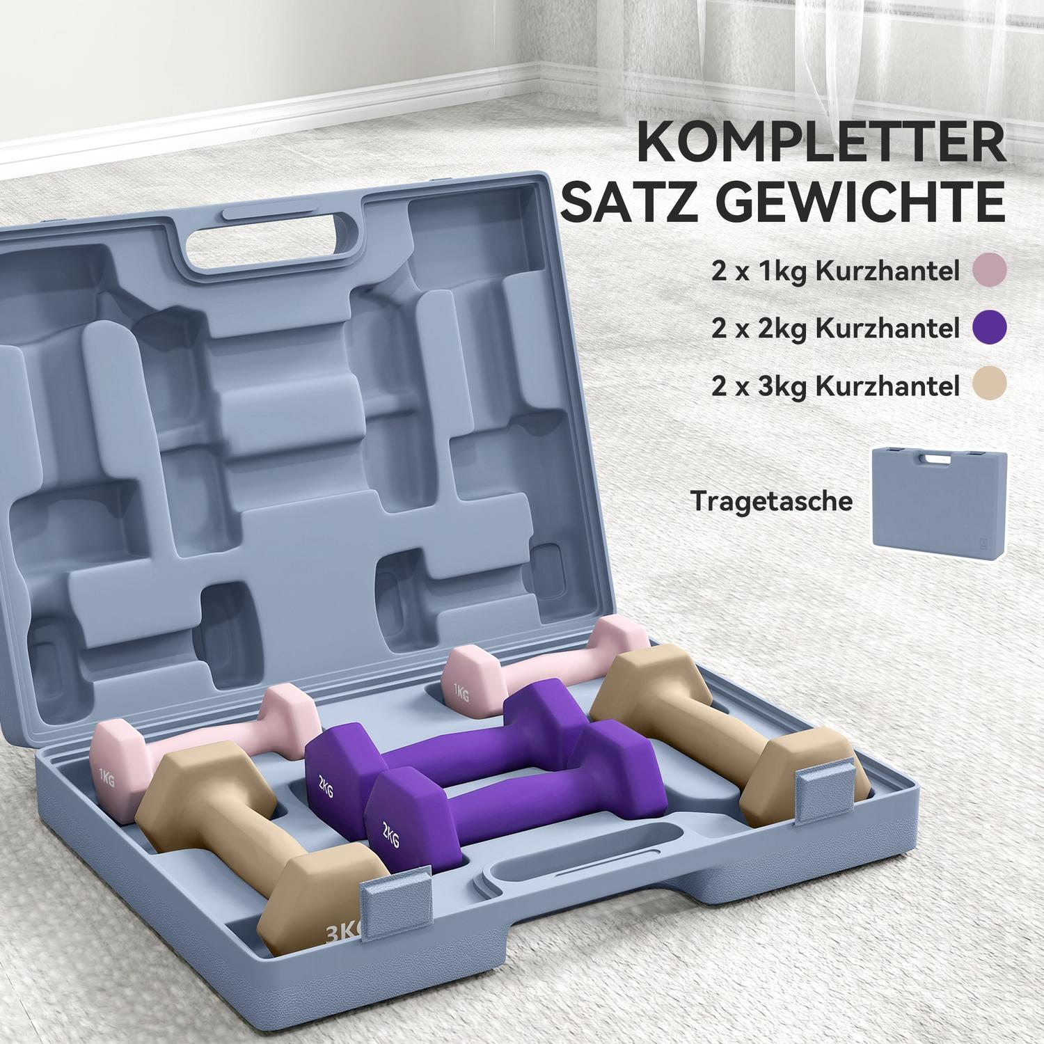 Hantelset, 6-delade stålvikter med fodral, 1 kg-3 kg