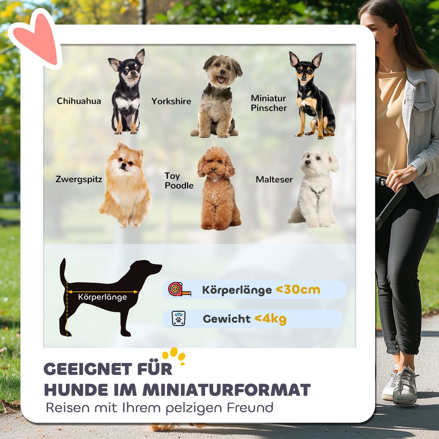 Skládací vozík pro kočky a psy do 4 kg – síťovaná okénka, úložná taška
