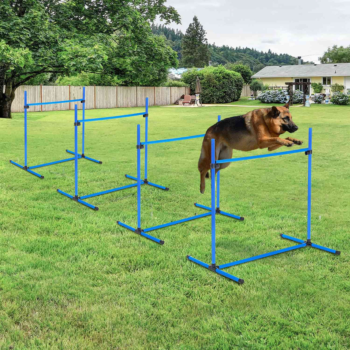 Sada pro trénink agility psů – 4 modré plastové překážky