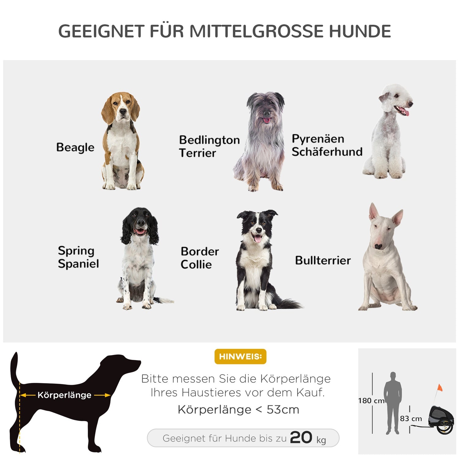 Hundcykelvagn – hopfällbar, nätfönster, reflexer, svart