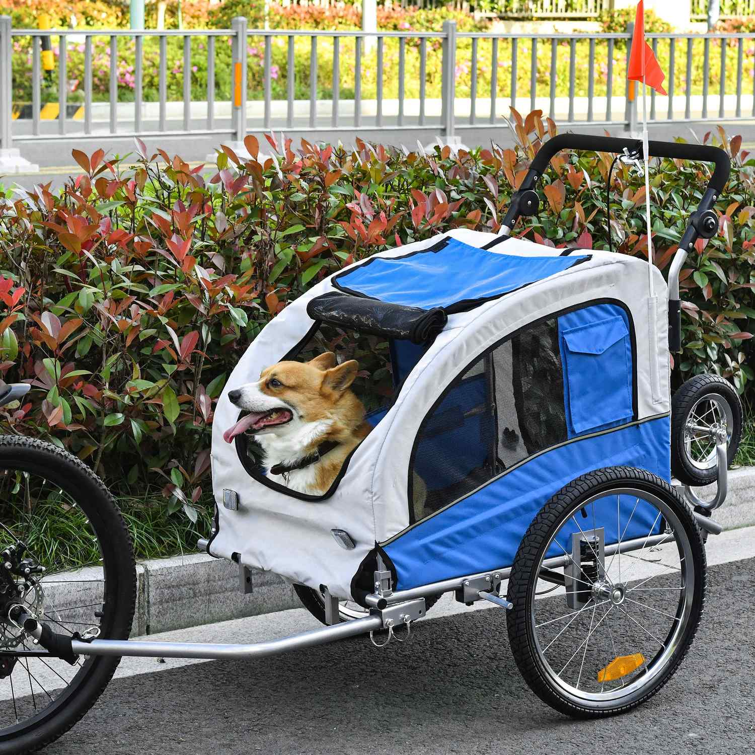 Hundcykelvagn och joggingvagn, blå/grå, 155 x 83 x 108 cm