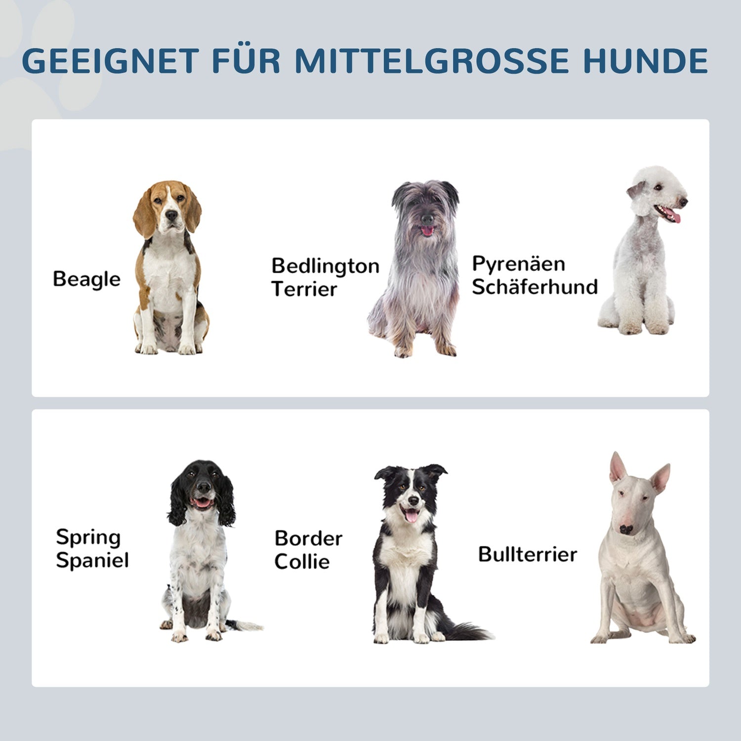 Hundmatningsstation i rostfritt stål, dubbla skålar, grå