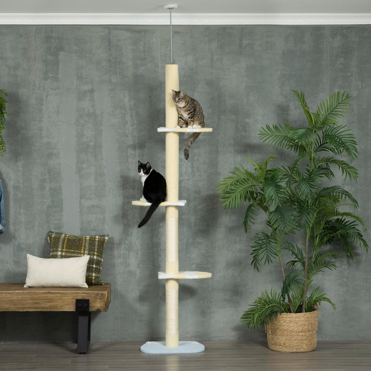 Nastavitelný škrabací sloupek pro kočky s míčkem na hraní, 220-260 cm