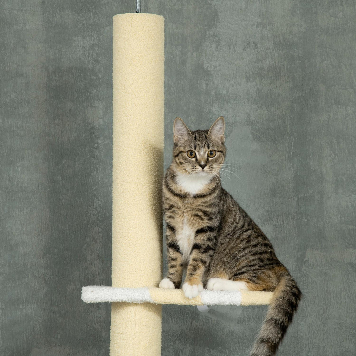 Nastavitelný škrabací sloupek pro kočky s míčkem na hraní, 220-260 cm