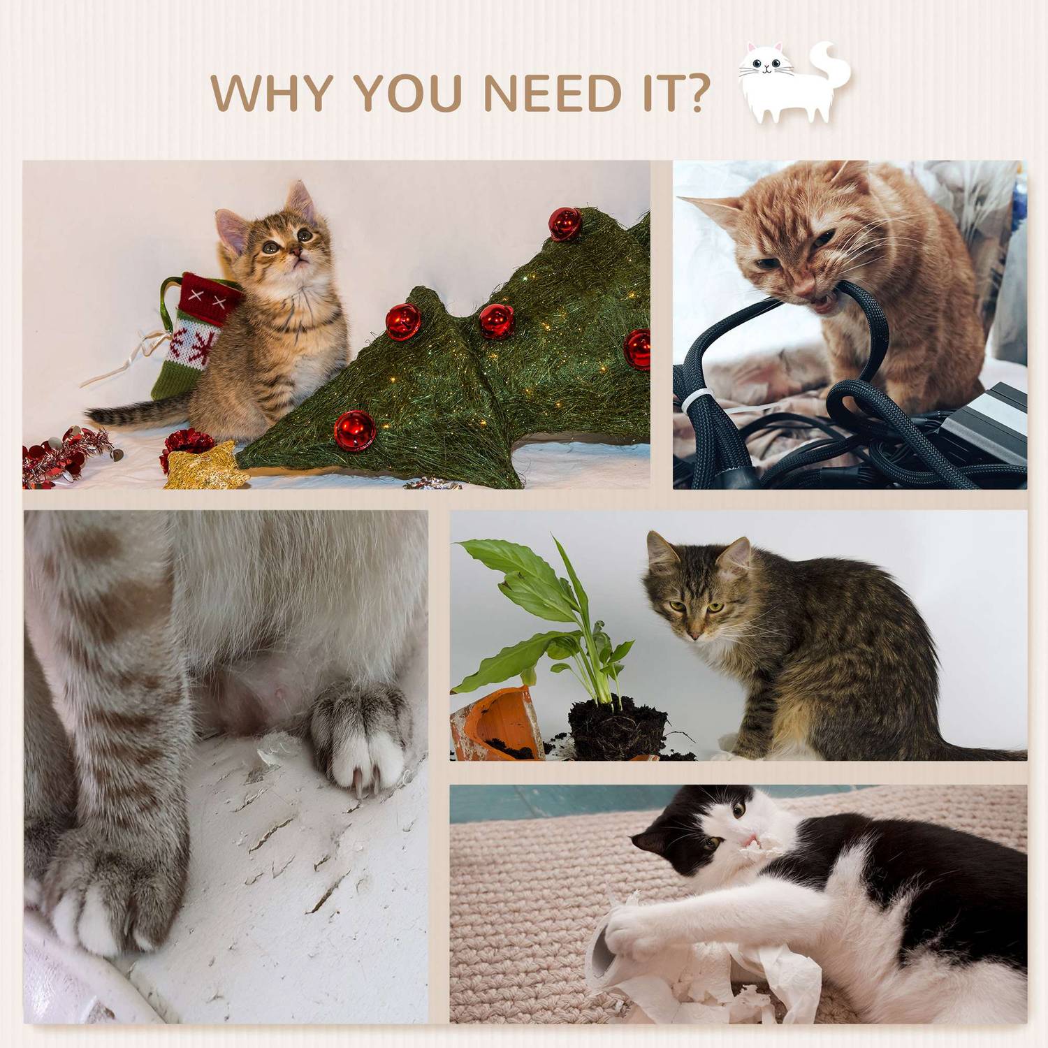 Kattklätterväggsset med trappor & hängmatta för små katter