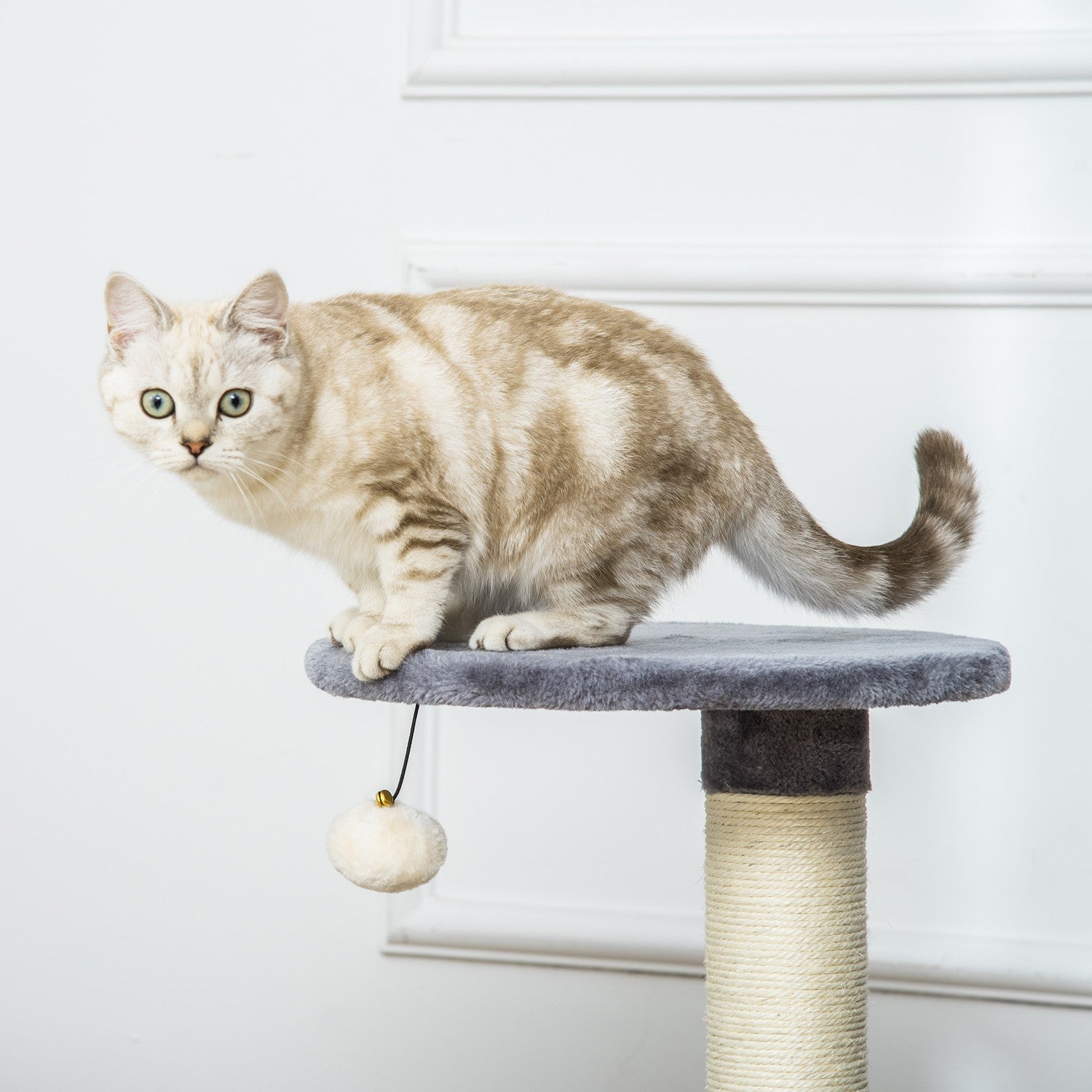 Kattskrapstolpe med grotta och leksaksboll, sisalrep, grå