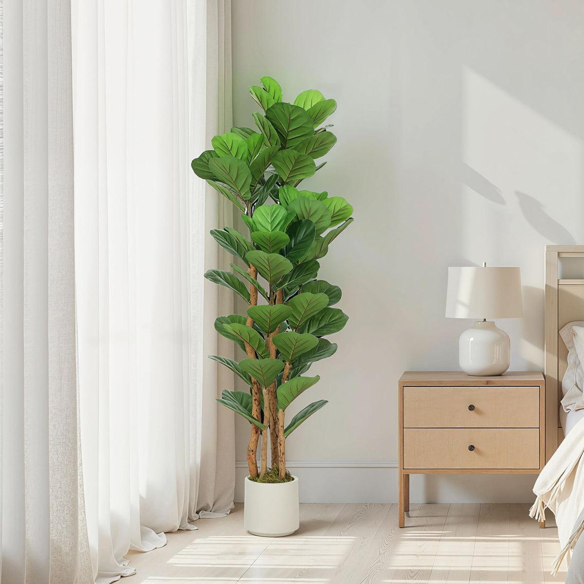 Umělý fíkus s houslovými listy, 71 listů, výška 150 cm