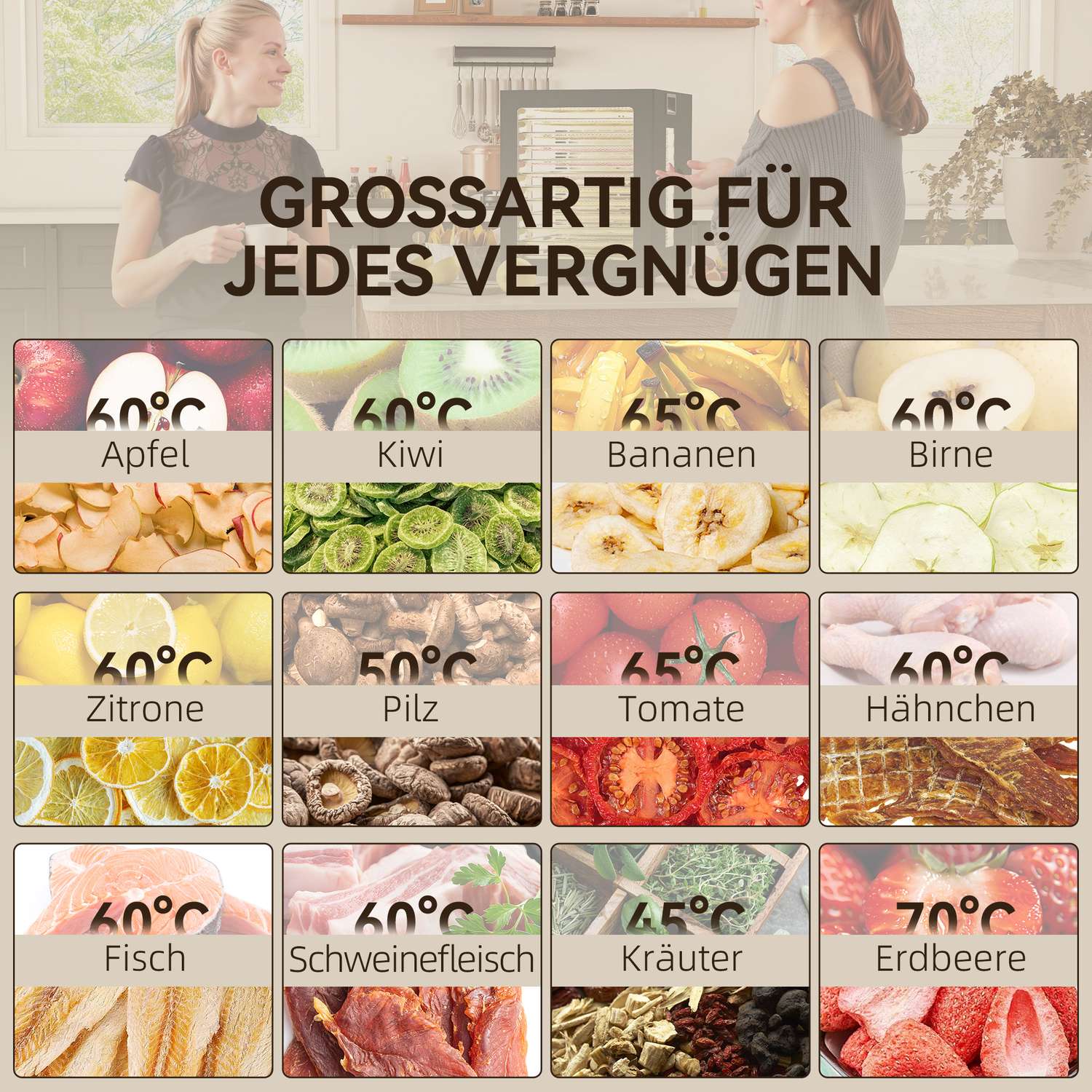 Mattorkare, 850W, 12 brickor i rostfritt stål, timer