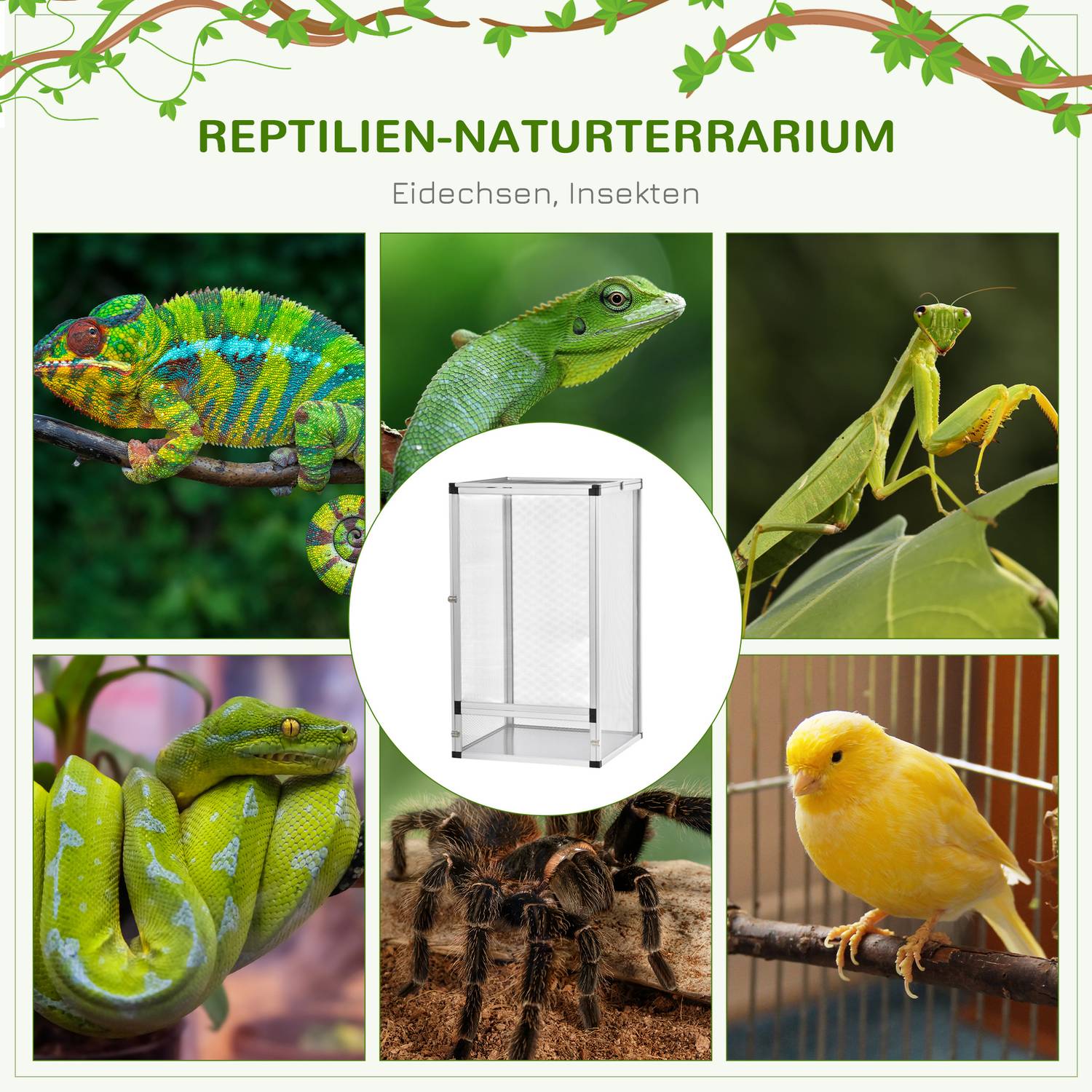 Reptiluppfödningslåda – Aluminium, 45x45x80 cm